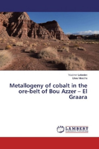 Könyv Metallogeny of cobalt in the ore-belt of Bou Azzer - El Graara Vladimir Lebedev
