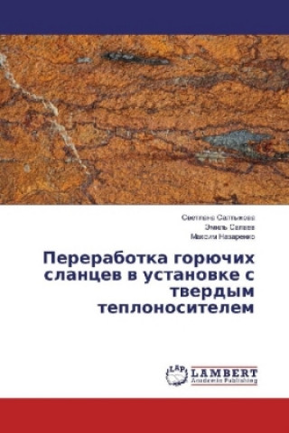 Buch Pererabotka gorjuchih slancev v ustanovke s tverdym teplonositelem Svetlana Saltykova