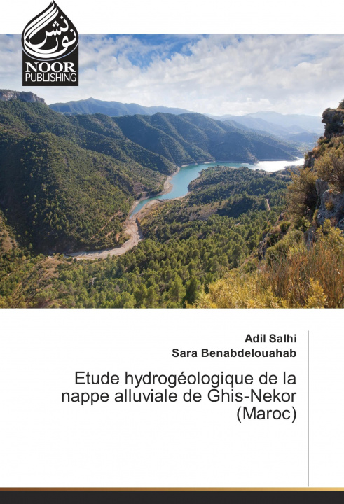 Книга Etude hydrogéologique de la nappe alluviale de Ghis-Nekor (Maroc) Adil Salhi