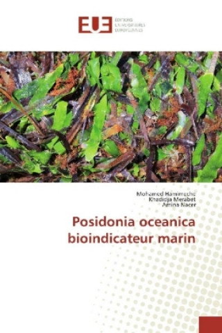 Libro Posidonia oceanica bioindicateur marin Mohamed Hamimeche