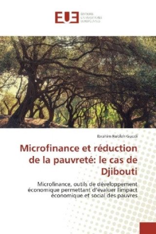 Carte Microfinance et réduction de la pauvreté: le cas de Djibouti Ibrahim Robleh Guedi