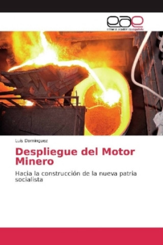 Könyv Despliegue del Motor Minero Luis Dominguez