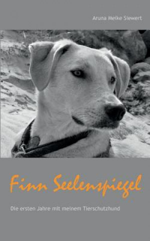 Kniha Finn Seelenspiegel Aruna Meike Siewert