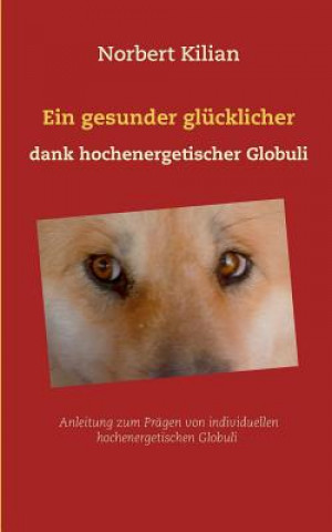 Kniha gesunder glucklicher Hund dank hochenergetischer Globuli Norbert Kilian