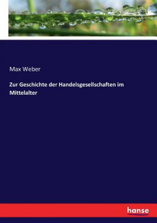 Книга Zur Geschichte der Handelsgesellschaften im Mittelalter Max Weber
