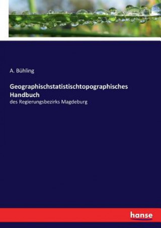 Kniha Geographischstatistischtopographisches Handbuch A. B HLING