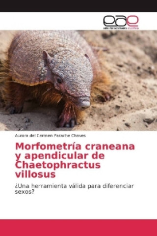 Kniha Morfometría craneana y apendicular de Chaetophractus villosus Aurora del Carmen Parache Chaves