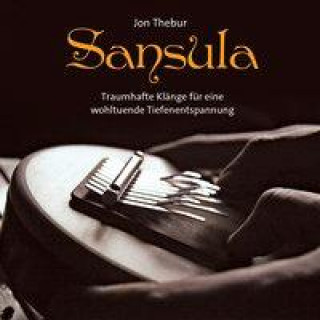 Audio Sansula Jon Thebur