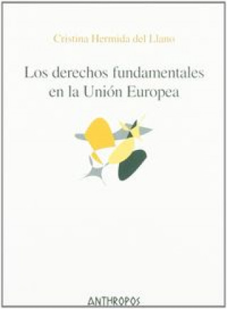 Kniha Los derechos fundamentales en la Unión Europea Cristina Hermida del Llano