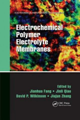 Książka Electrochemical Polymer Electrolyte Membranes 