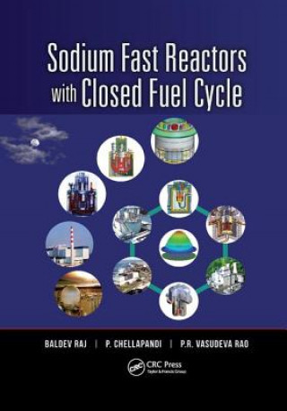 Livre Sodium Fast Reactors with Closed Fuel Cycle RAJ