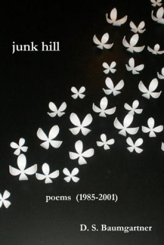 Buch Junk Hill D. S. Baumgartner