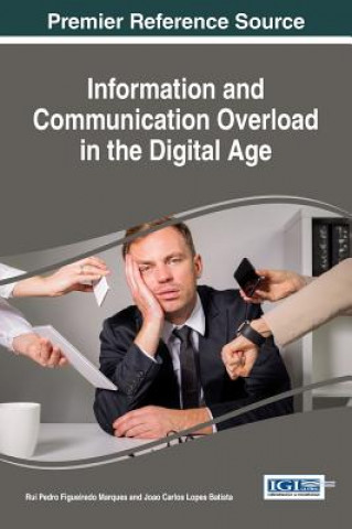 Book Information and Communication Overload in the Digital Age Joao Carlos Lopes Batista