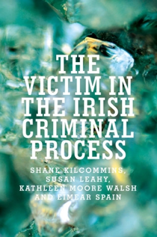 Könyv Victim in the Irish Criminal Process Shane Kilcommins