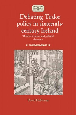 Kniha Debating Tudor Policy in Sixteenth-Century Ireland David Heffernan