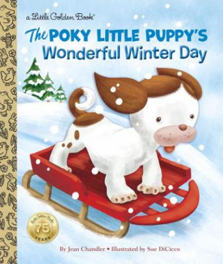 Kniha Poky Little Puppy's Wonderful Winter Day Jean Chandler