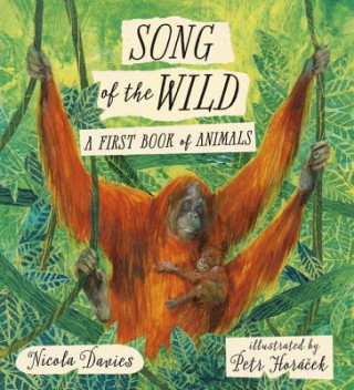 Book Song of the Wild: A First Book of Animals Nicola Davies