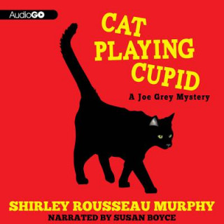 Audio CAT PLAYING CUPID            M Shirley Rousseau Murphy