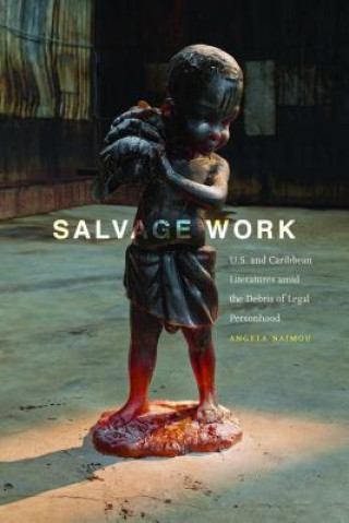 Boek Salvage Work Angela Naimou