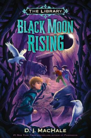 Book Black Moon Rising (The Library Book 2) D. J. Machale