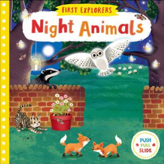 Kniha Night Animals Jenny Wren