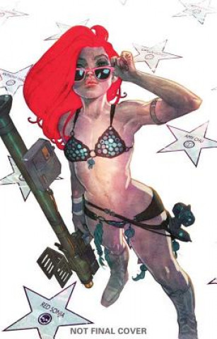 Könyv Red Sonja: Worlds Away Amy Chu