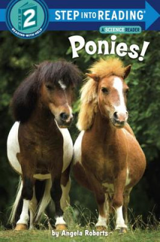 Kniha Ponies! Angela Roberts