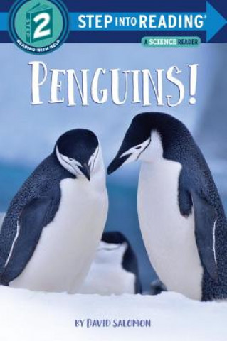 Kniha Penguins! David Salomon