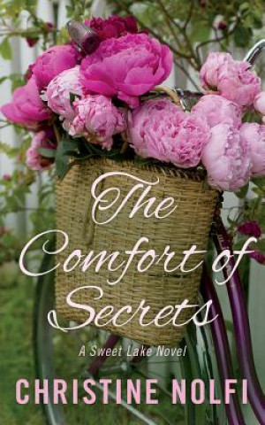 Audio The Comfort of Secrets Christine Nolfi