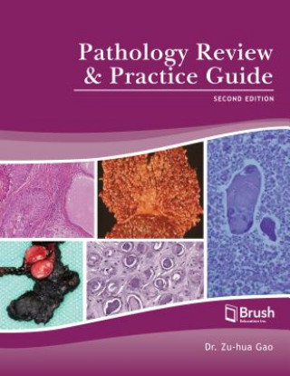 Kniha Pathology Review and Practice Guide Zu-Hua Gao