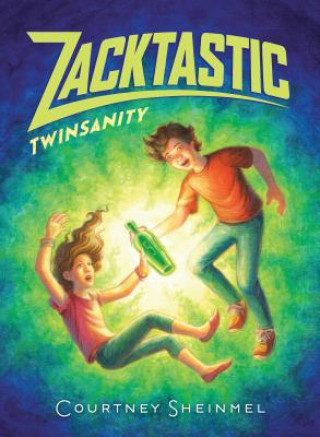 Βιβλίο Twinsanity Courtney Sheinmel