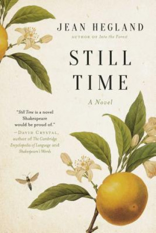 Livro Still Time Jean Hegland
