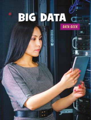 Buch Big Data Kristin Fontichiaro