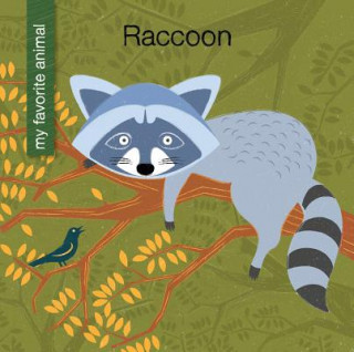 Kniha Raccoon Virginia Loh-Hagan