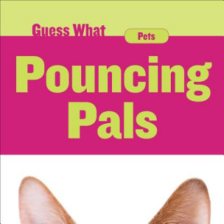 Boek Pouncing Pals: Cat Felicia Macheske