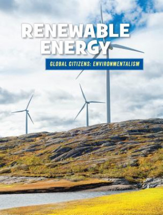 Book Renewable Energy Ellen Labrecque