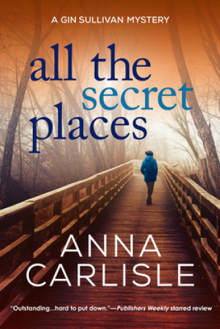 Book All the Secret Places: A Gin Sullivan Mystery Carlisle