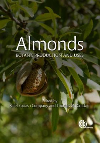 Könyv Almonds Rafel Socias I. Compay