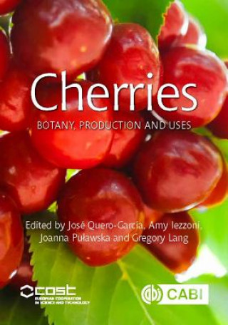 Kniha Cherries Jose Quero-Garcia