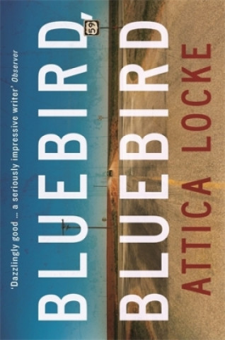 Buch Bluebird, Bluebird Attica Locke