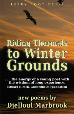 Carte Riding Thermals to Winter Grounds Djelloul Marbrook