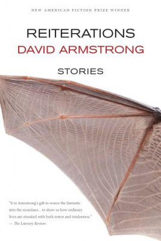 Könyv REITERATIONS David Armstrong