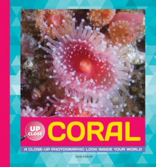 Kniha Coral: A Close-Up Photographic Look Inside Your World Heidi Fiedler