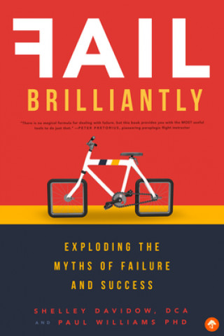 Knjiga Fail Brilliantly: Exploding the Myths of Failure and Success Shelley Davidow