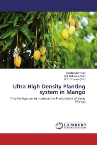 Kniha Ultra High Density Planting system in Mango Sandip Makhmale