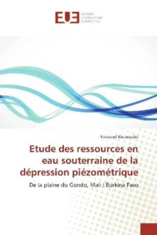 Kniha Etude des ressources en eau souterraine de la dépression piézométrique Youssouf Koussoubé