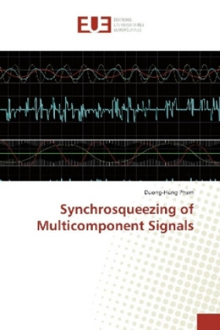 Kniha Synchrosqueezing of Multicomponent Signals Duong-Hung Pham