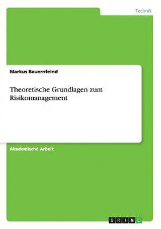 Kniha Theoretische Grundlagen zum Risikomanagement Markus Bauernfeind