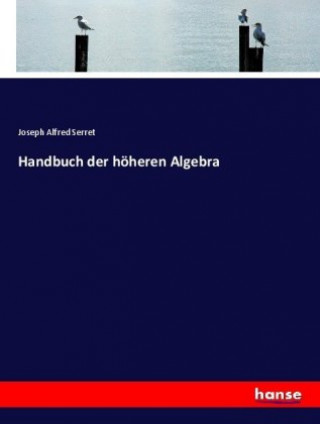 Carte Handbuch der hoheren Algebra Joseph Alfred Serret