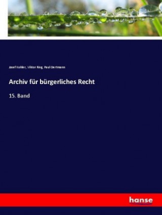 Kniha Archiv für bürgerliches Recht Josef Kohler